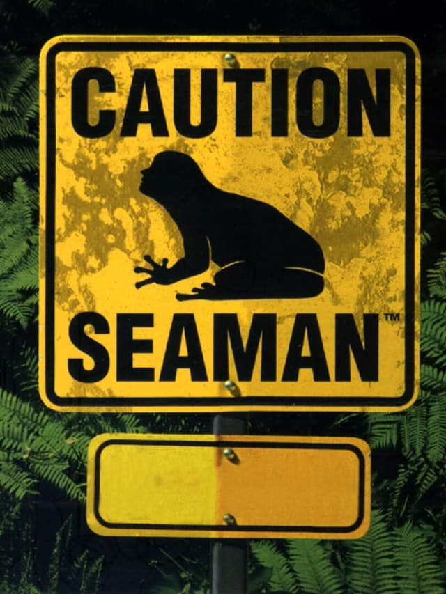 Seaman