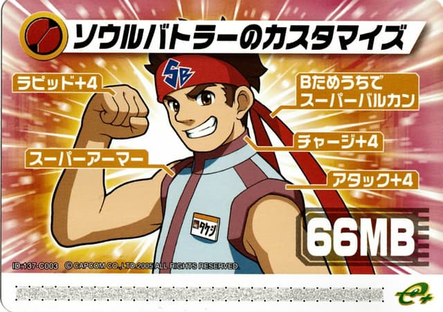 Mega Man Battle Network 6: Patch Card - Soul Battler's Custom