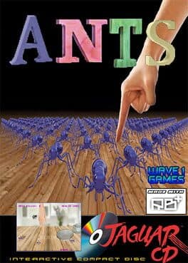 Ants