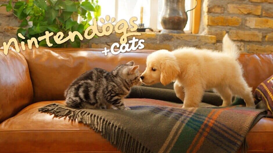 Nintendogs + Cats: Golden Retriever & New Friends artwork