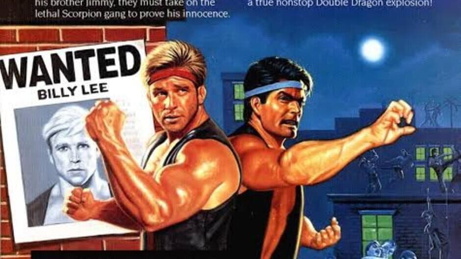 Double Dragon III: The Sacred Stones artwork