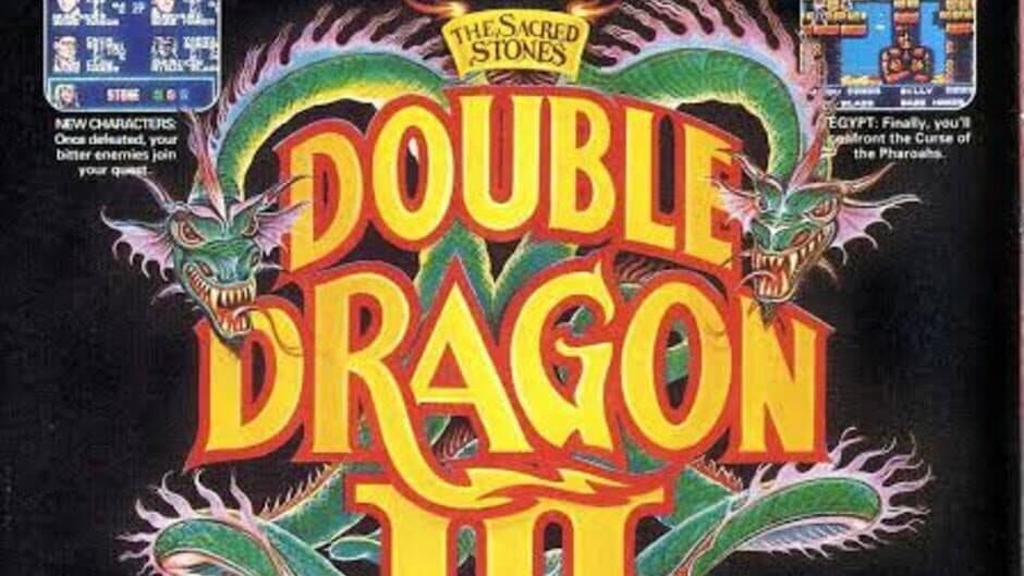 Double Dragon III: The Sacred Stones artwork