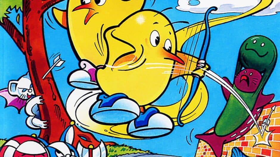 The NewZealand Story artwork