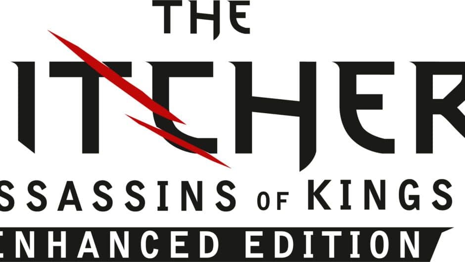 The Witcher 2: Assassins of Kings - Enhanced Edition artwork