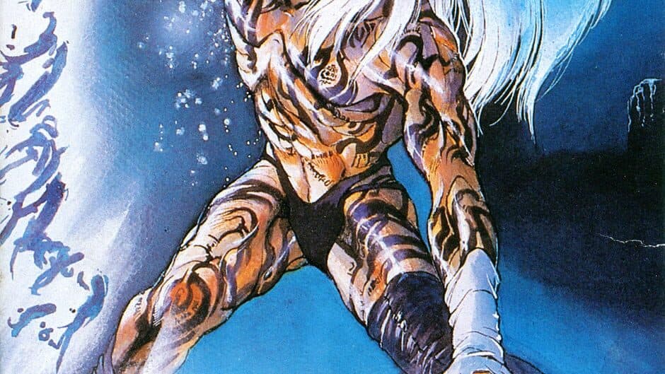 Bastard!! Ankoku no Hakaishin artwork