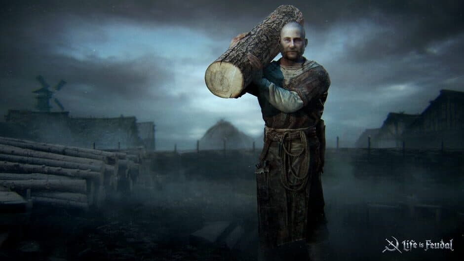 Life is Feudal: Forest Village artwork