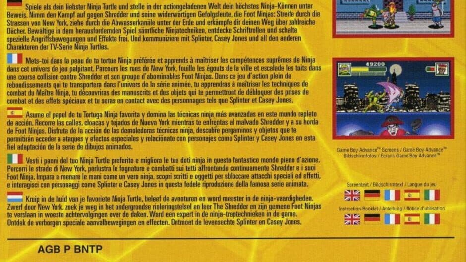 Teenage Mutant Ninja Turtles artwork