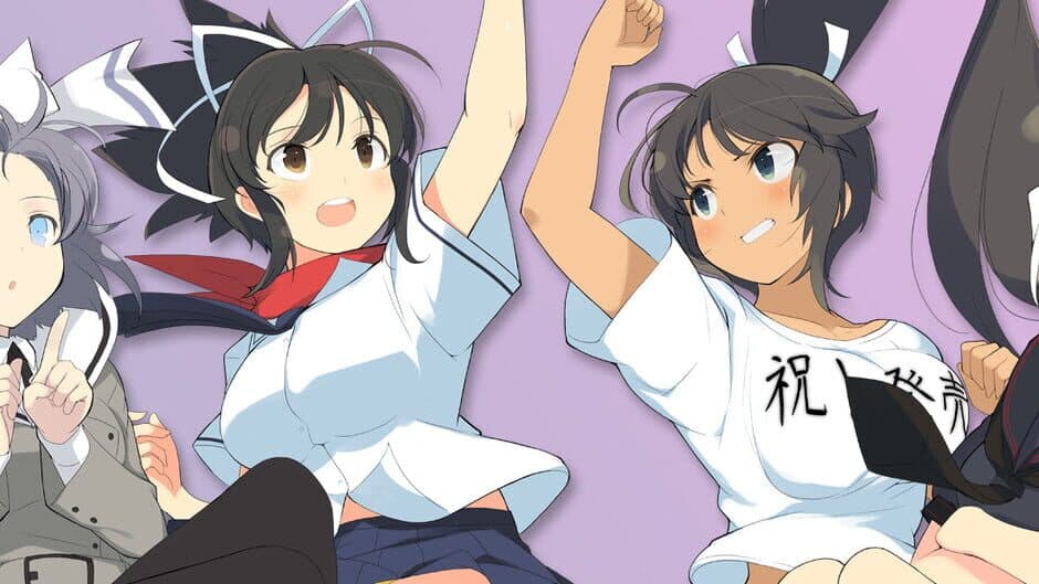 Senran Kagura: Shinovi Versus artwork
