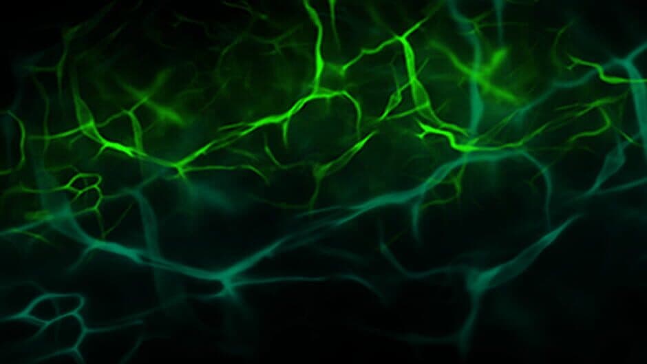 Paranormal Detective: Escape from the 80's artwork