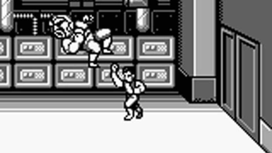 Double Dragon screenshot