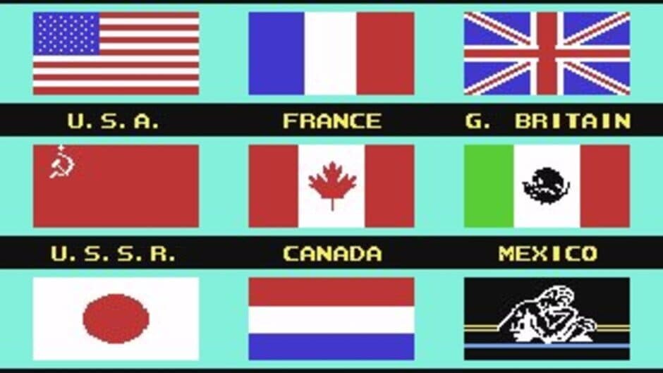 Winter Games screenshot