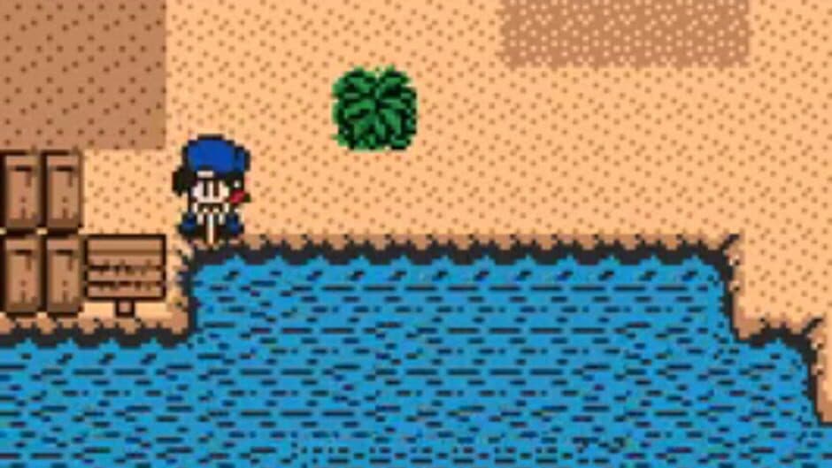 Harvest Moon 2 GBC screenshot