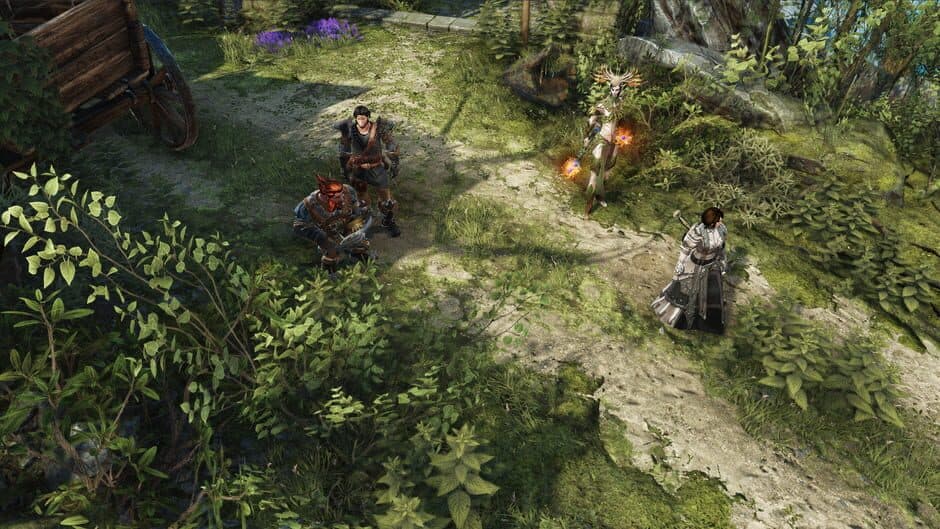 Divinity: Original Sin II screenshot