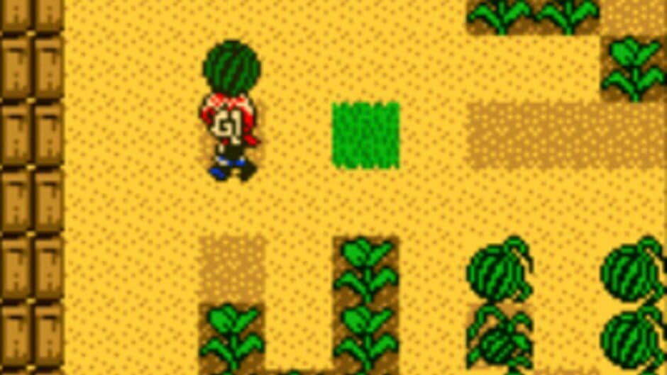 Harvest Moon 2 GBC screenshot