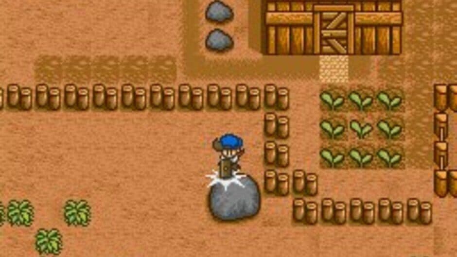 Harvest Moon screenshot