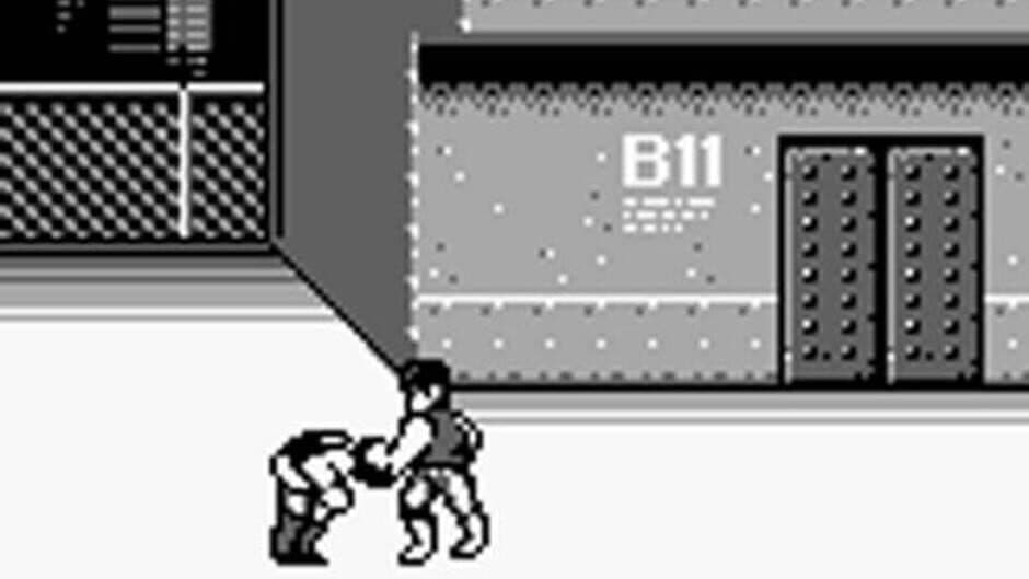 Double Dragon screenshot