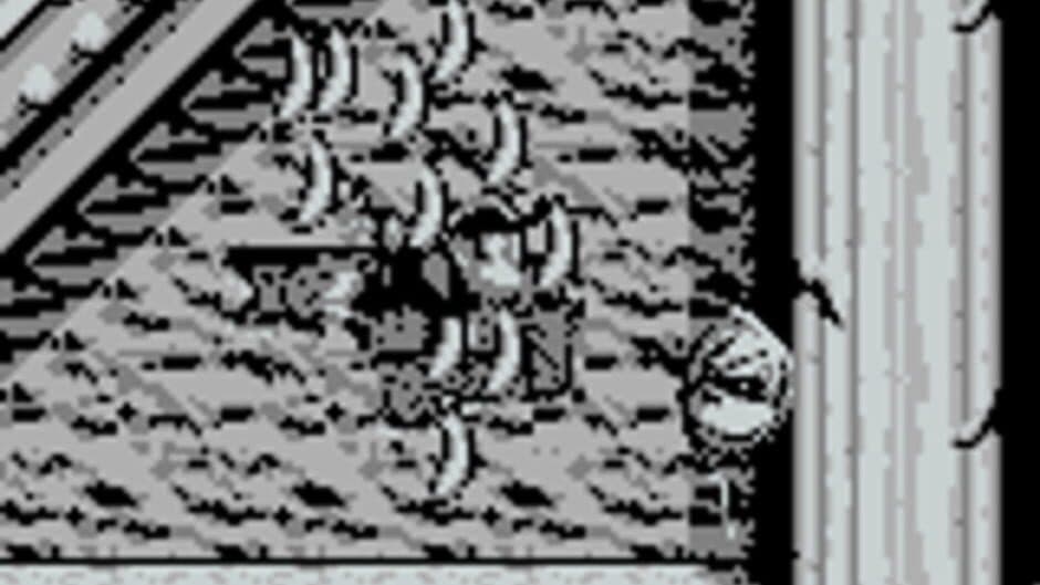 Donkey Kong Land screenshot