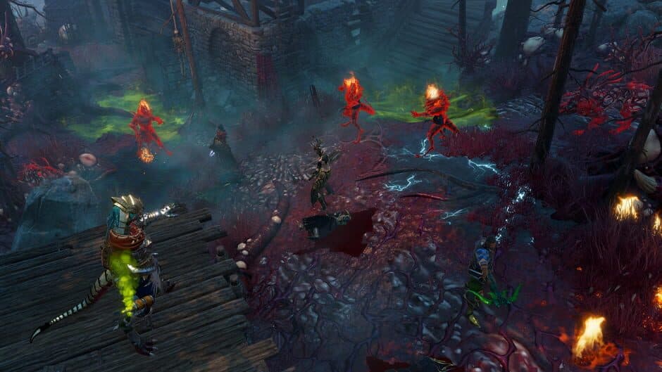 Divinity: Original Sin II - Definitive Edition screenshot