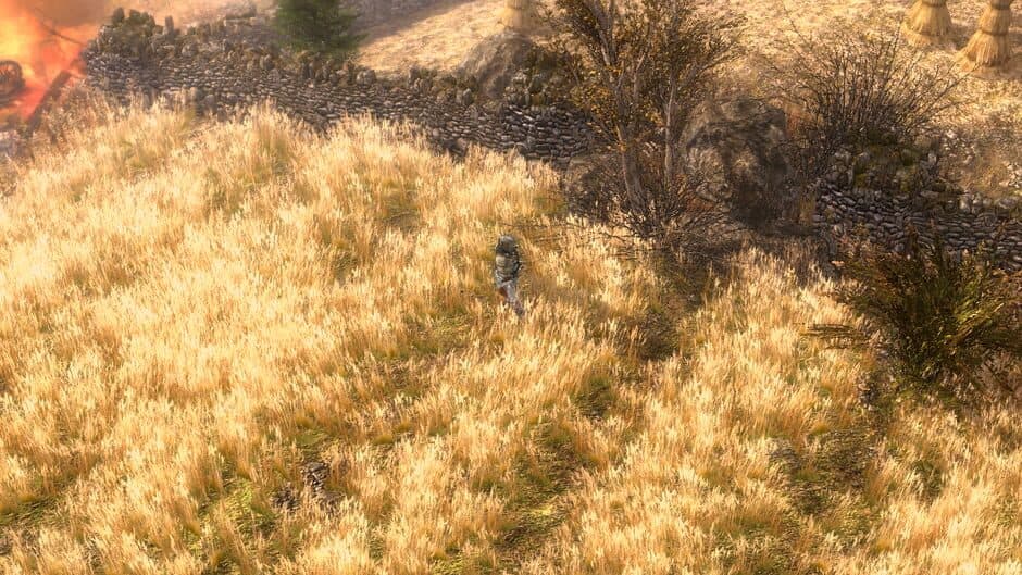 Grim Dawn screenshot