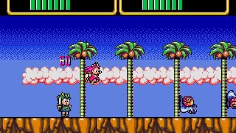 Wonder Boy III: Monster Lair screenshot