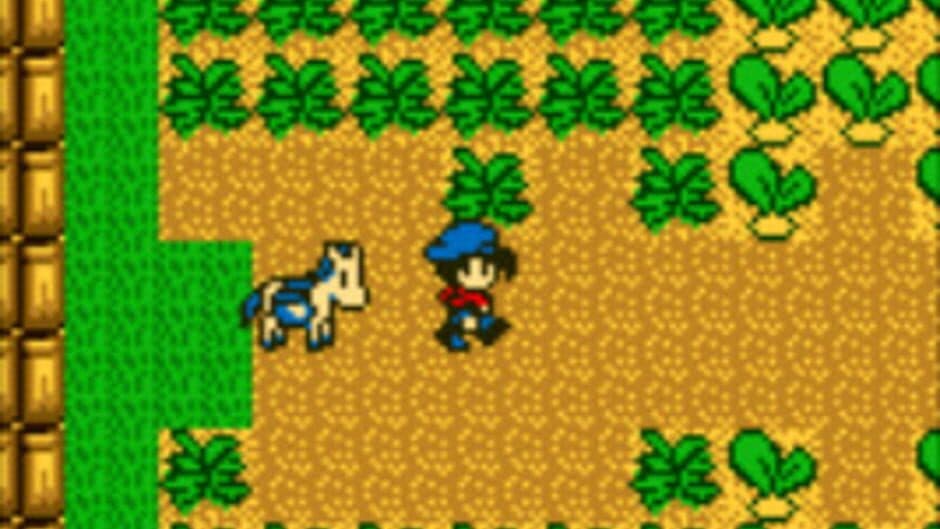 Harvest Moon GB screenshot