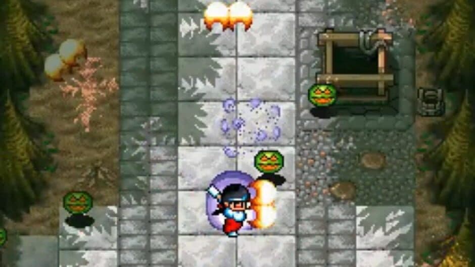 Pocky & Rocky screenshot