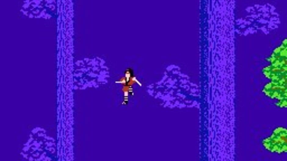 The Legend of Kage screenshot