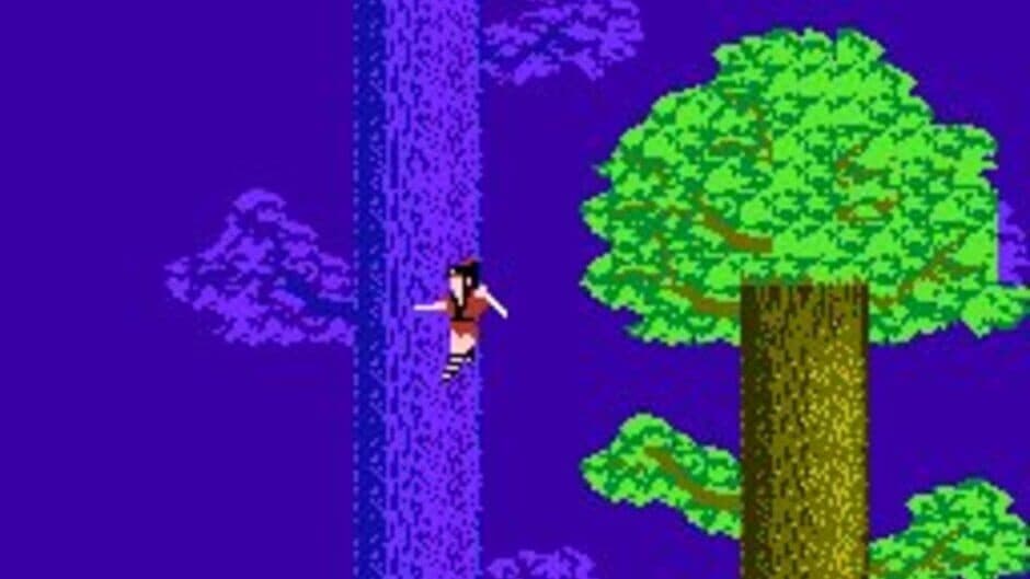 The Legend of Kage screenshot