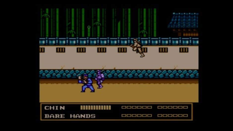 Double Dragon III: The Sacred Stones screenshot