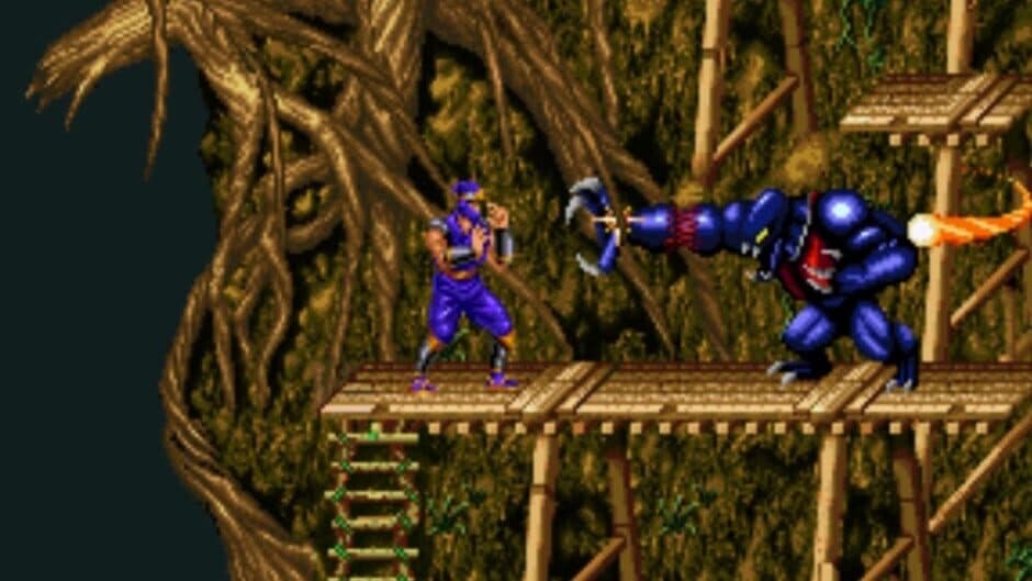 Magician Lord screenshot