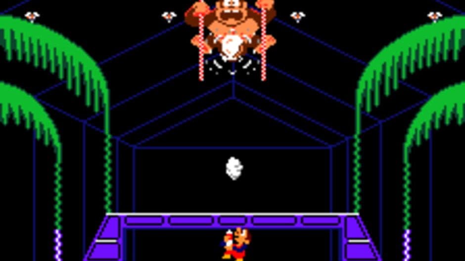 Donkey Kong 3 screenshot