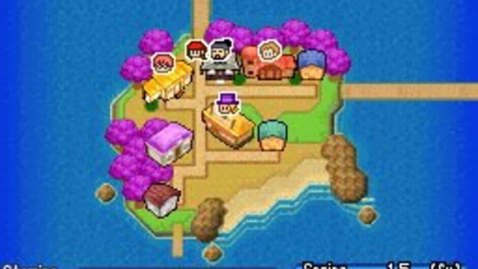 Harvest Moon DS: Sunshine Islands screenshot