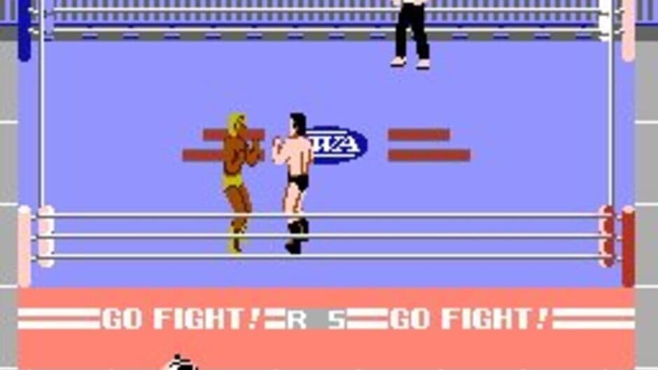 Pro Wrestling screenshot