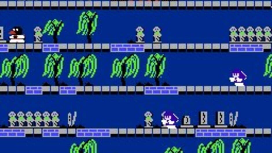 Ninja JaJaMaru-kun screenshot