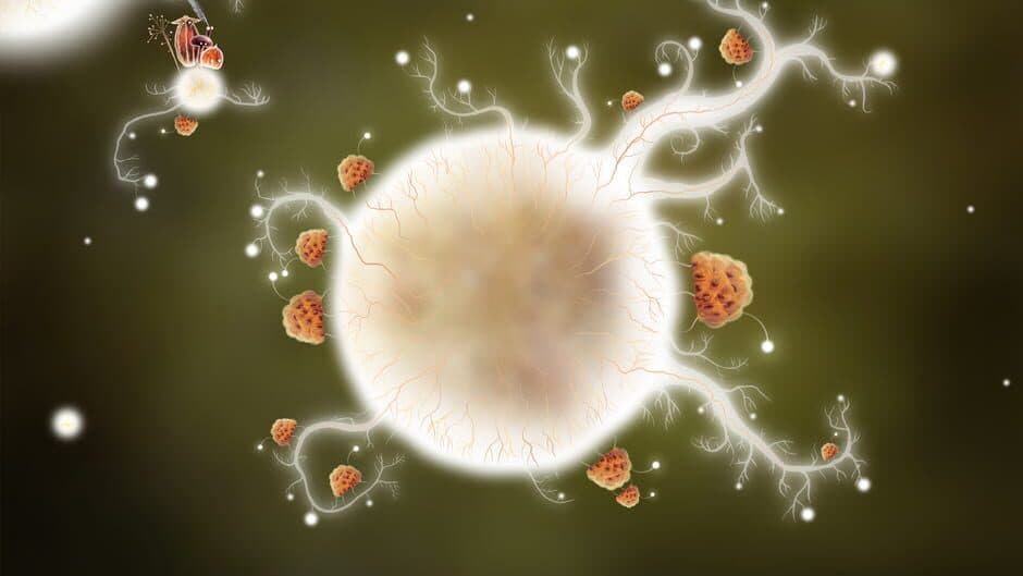 Botanicula screenshot