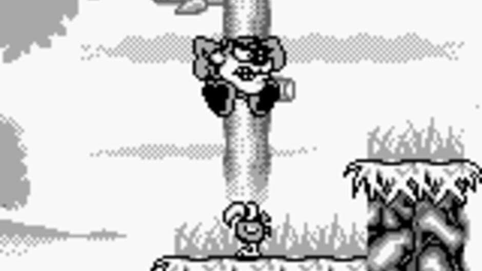 Taz-Mania screenshot