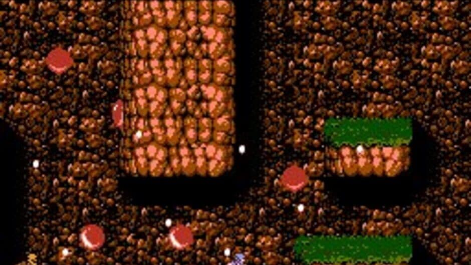 Ninja Gaiden II: The Dark Sword of Chaos screenshot