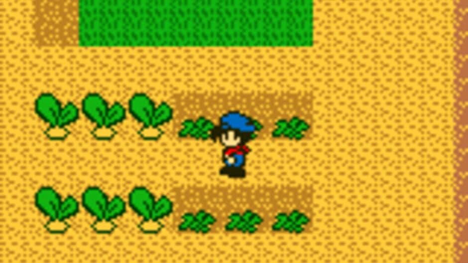 Harvest Moon GB screenshot