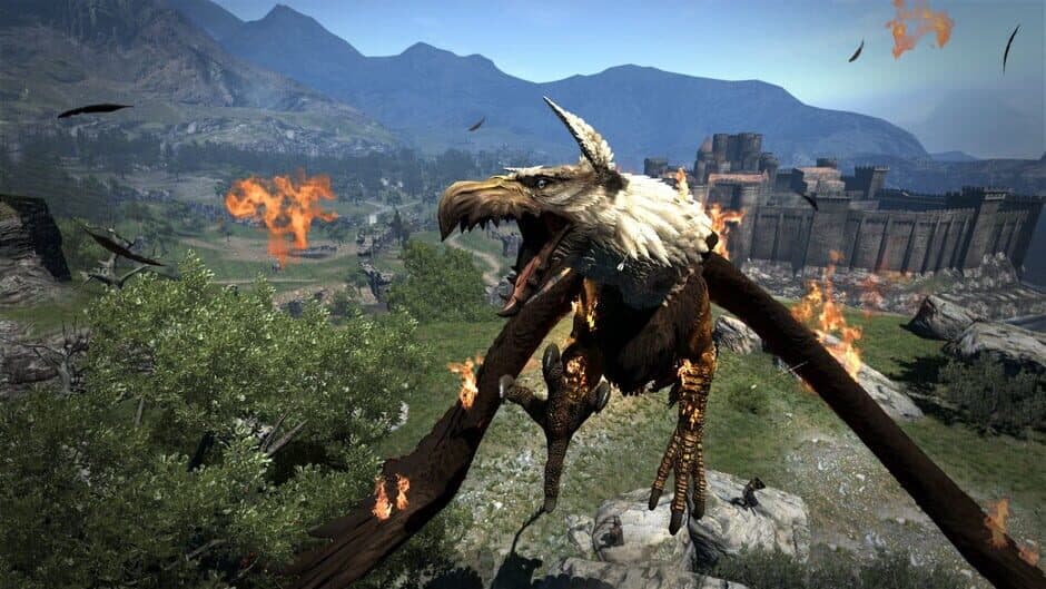 Dragon's Dogma screenshot