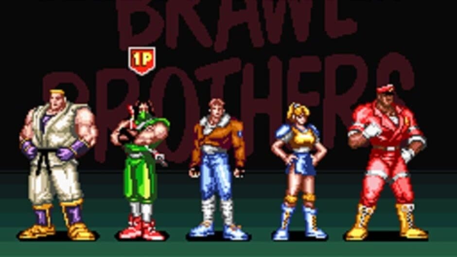 Brawl Brothers screenshot