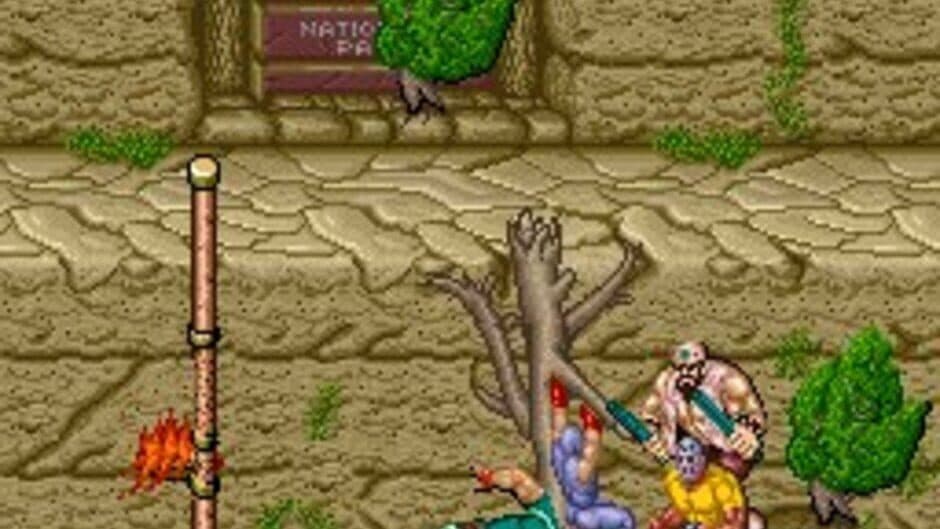 Ninja Gaiden screenshot