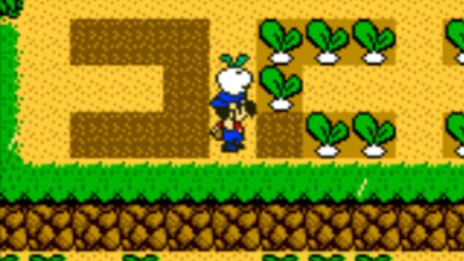 Harvest Moon 3 GBC screenshot