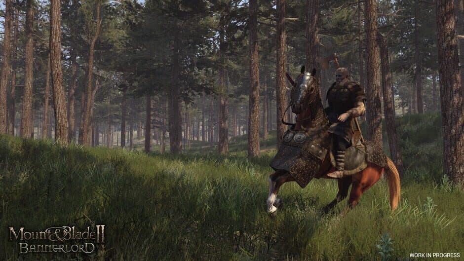 Mount & Blade II: Bannerlord screenshot