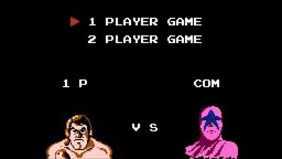 Pro Wrestling screenshot