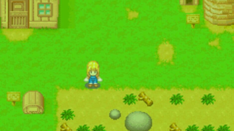 Harvest Moon: More Friends of Mineral Town screenshot