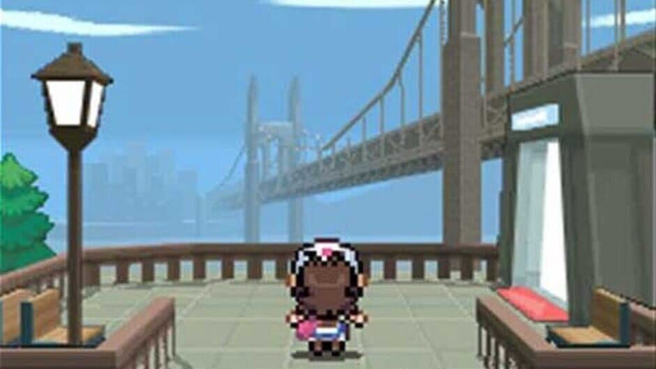 Pokémon Black Version screenshot