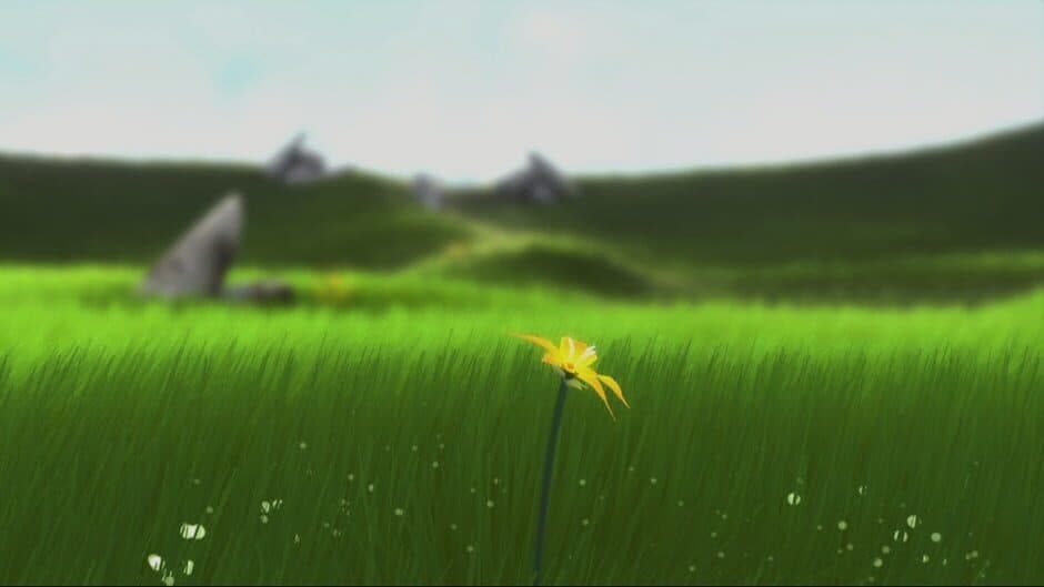 Flower screenshot