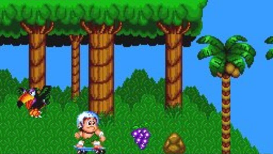 New Adventure Island screenshot