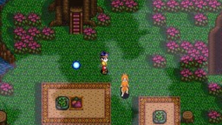 Soul Blazer screenshot