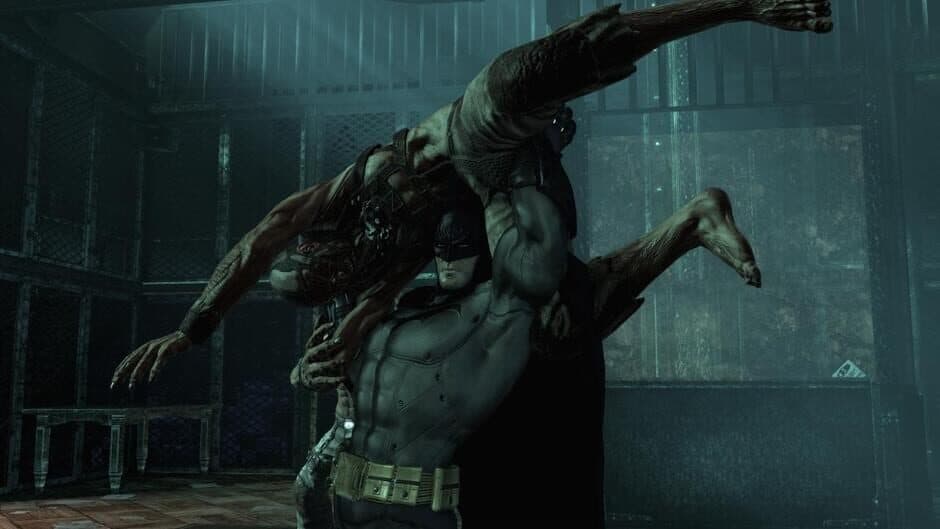 Batman: Arkham Asylum - Game of the Year Edition screenshot